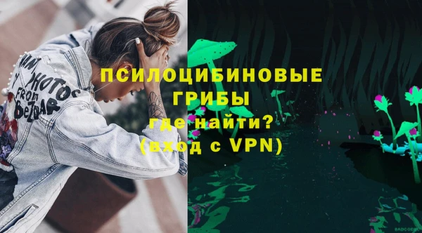 сатива Липки