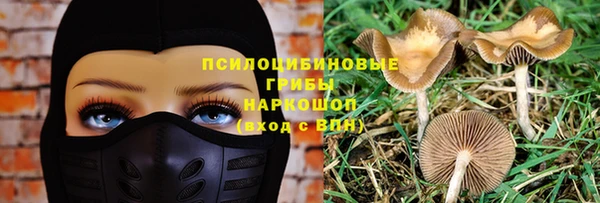бутират Ладушкин